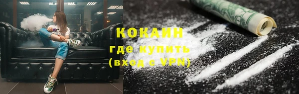 шишки Новодвинск