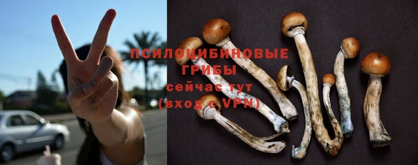 мет Нязепетровск