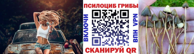 наркотики  Новоузенск  Галлюциногенные грибы MAGIC MUSHROOMS 